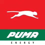 NightOwl Puma Casino Logo